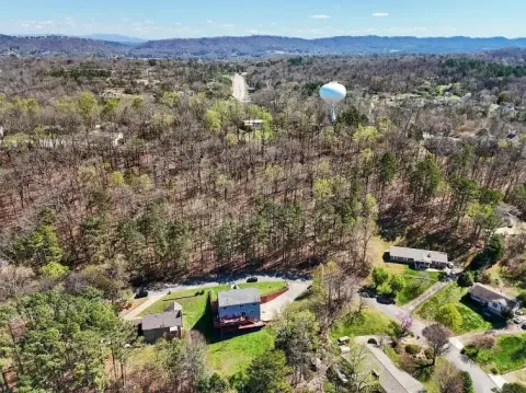 Wooded Lot in Ray Jo Estates