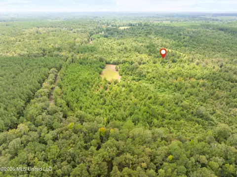 Agricultural Land with Creek