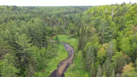 Waterfront Recreational Land with Creek