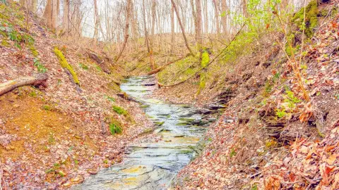 Ross County Vacant Land