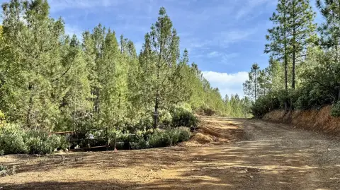 20 Acres Near Shasta Lake