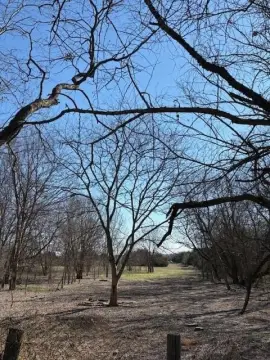 Wolfe City Land For Sale