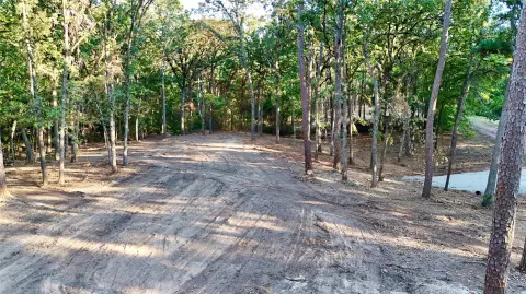 Wooded Recreation Land