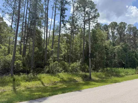 Native Habitat Hunting Land