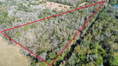Heavily Wooded Acreage in Canton, TX