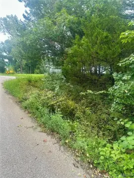 Residential Land in De Soto