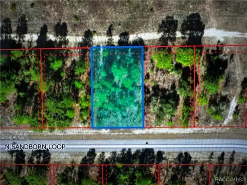 Citrus Springs Homesite Opportunity