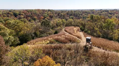 Hunting Land with Cabin