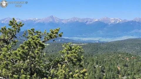 Treed Mountain Escape Land