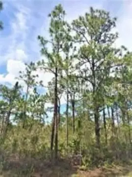 Buildable Lot Near Lake Walk-in-Water