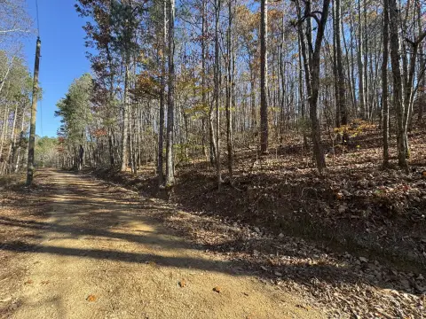 28 Acres in Collinsville, AL