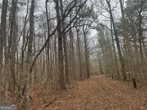 Madison, GA Land Opportunity