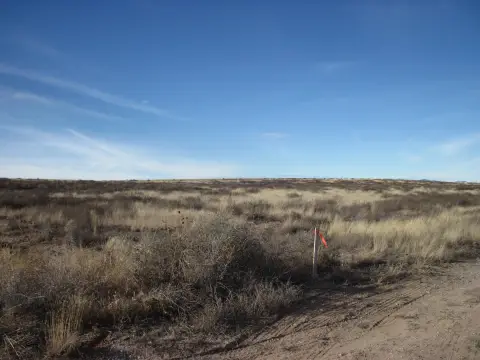 Land For Sale Near Moriarty