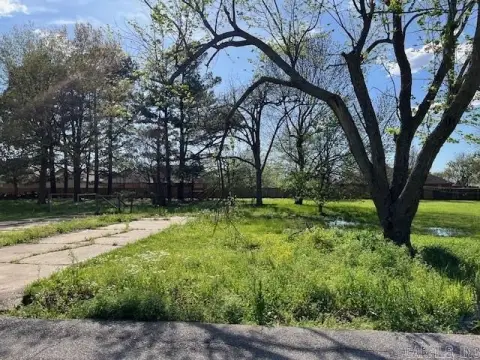 Residential Lot in Gosnell, AR