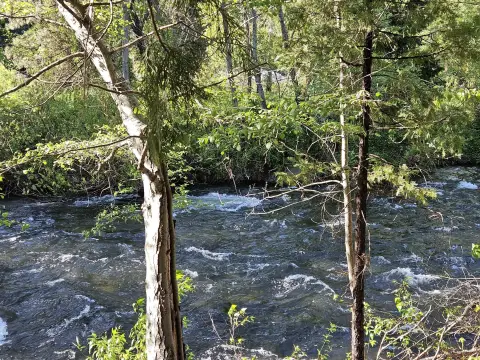 Land on Sacramento River