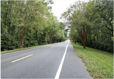 Residential Home Lot with 20 Acres