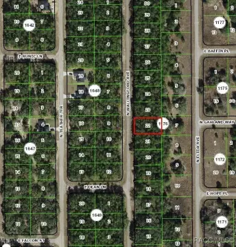Citrus Springs Building Lot