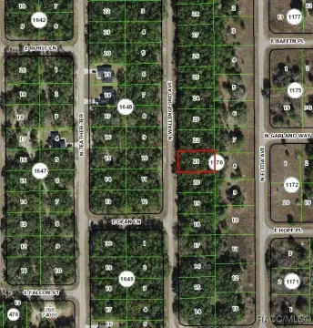 Citrus Springs Building Lot