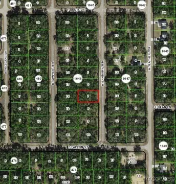 Citrus Springs Building Lot