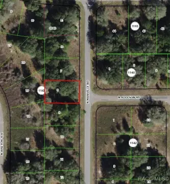 Citrus Springs Building Lot