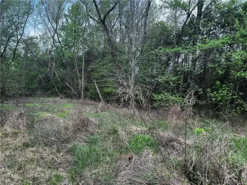 Russellville Lot with Development Potential