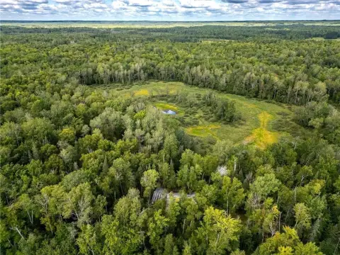 Land For Sale Tamarack, MN