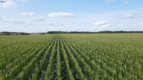 Farmland Offered in Two Tracts