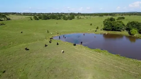 Ranch with Platted Subdivision