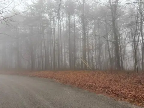 Unrestricted Land with Creek Access