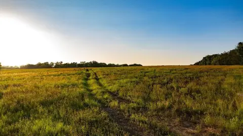 Cameron, TX Residential Land