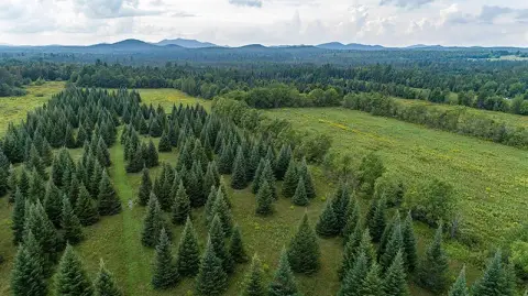 Adirondack Land with Commercial Barn