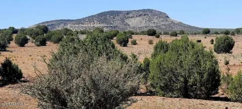 Off-Grid Hunting Land with Wildlife