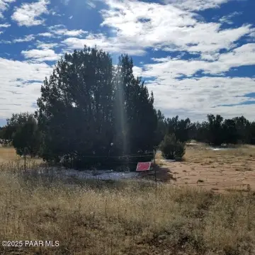 Hunting Land Parcel with Forest Access