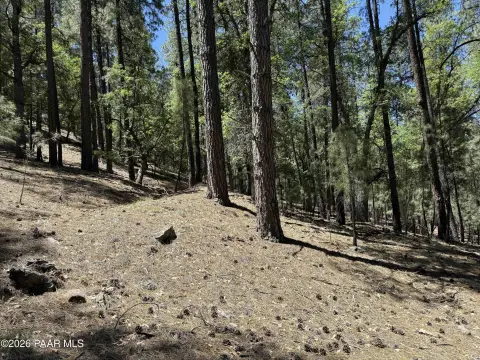 Mountain-View Residential Land Parcel