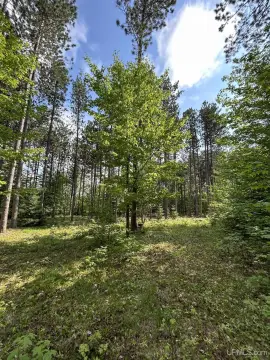 Wooded Residential Development Parcel
