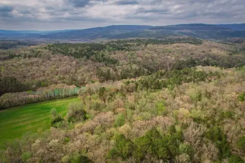 Wooded Recreation Land with Utility Easement