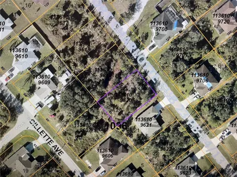 Residential Lot in Growing North Port