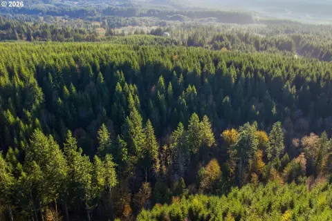 Banks, Oregon Timberland Opportunity