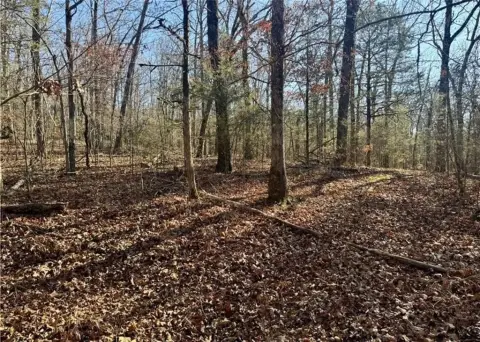 Secluded 70 Acres for Recreation