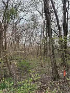 Posy Mountain Ranch Buildable Land