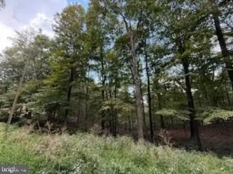 2.34 Acre Wooded Lot