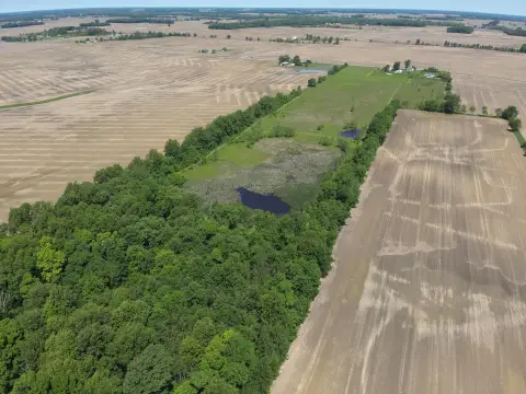 Recreational and Income Land Tract