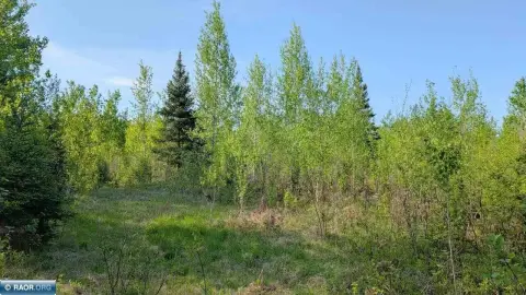 Wooded Recreation Land with Creek