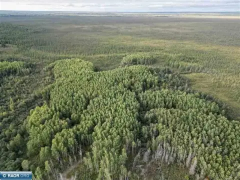 80 Acres Hunting Land in Orr