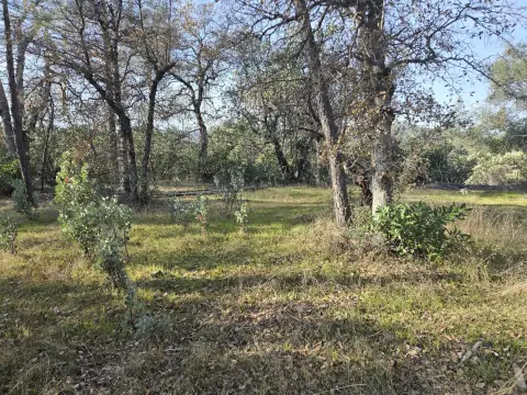 Redding Land Near Lake