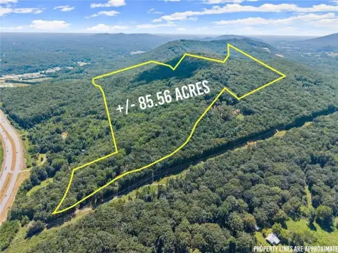 85 Acres in North Georgia