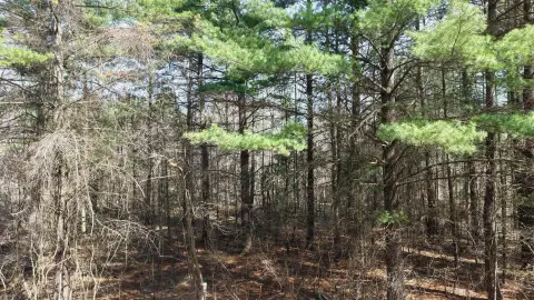 Vacant Land Near Lake Lancer