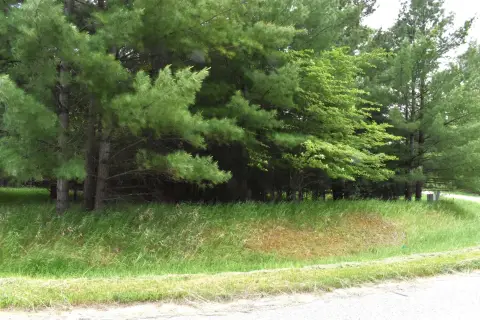 Vacant Land in Sugar Springs