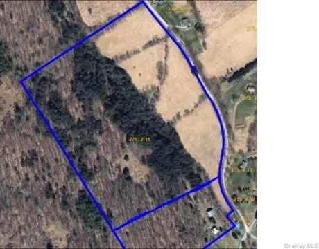 Land in Scenic Walton, NY