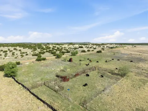 Ranch-Style Acreage with Working Pens